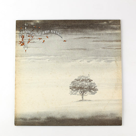 Genesis - Wind & wuthering - Vinile 12' Charisma 1976 - Progressive